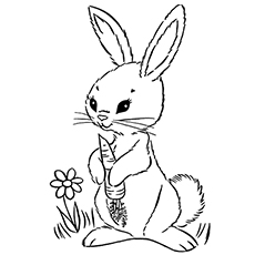 Dibujos de Conejo con Zanahoria
