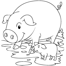 Dibujos de Cerdo y Cochinillo