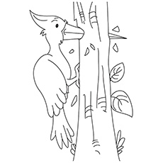 Dibujos de Woodpecker Está Perforando un Agujero