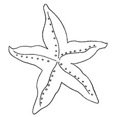 Dibujos de Estrella de Mar Básica