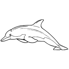 Dibujos de Chino del Delfín
