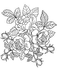 Dibujos de Rosas Hermosas