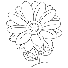 Dibujos de Una Margarita Flor