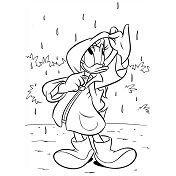 Dibujos de Daisy En La Lluvia