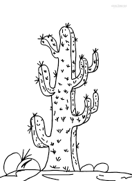 Dibujos de Cactus Alto