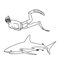Dibujos de Tiburón y Buzo