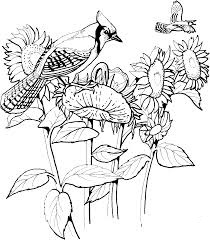 Dibujos de Pájaro y Girasol