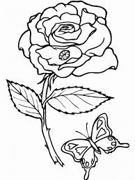 Dibujos de Rosa y Mariposa