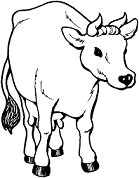 Dibujos de Un Búfalo