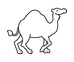 Dibujos de Camello Normal