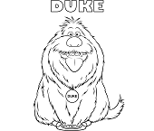 Dibujos de Duke