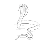 Dibujos de Una Cobra