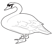 Dibujos de Un Cisne