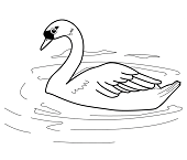 Dibujos de Cisne Nadando