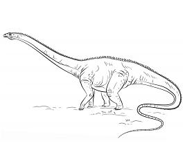 Dibujos de Un Diplodocus