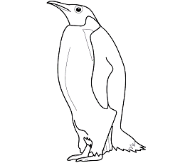 Dibujos de Un Pingüino