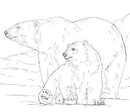 Dibujos de Dos Oso Polar
