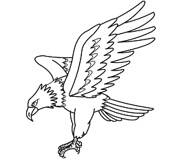 Dibujos de Un Águila
