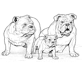 Dibujos de Familia de Bulldog
