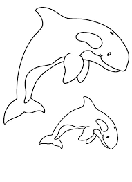 Dibujos de Delfín Familiar