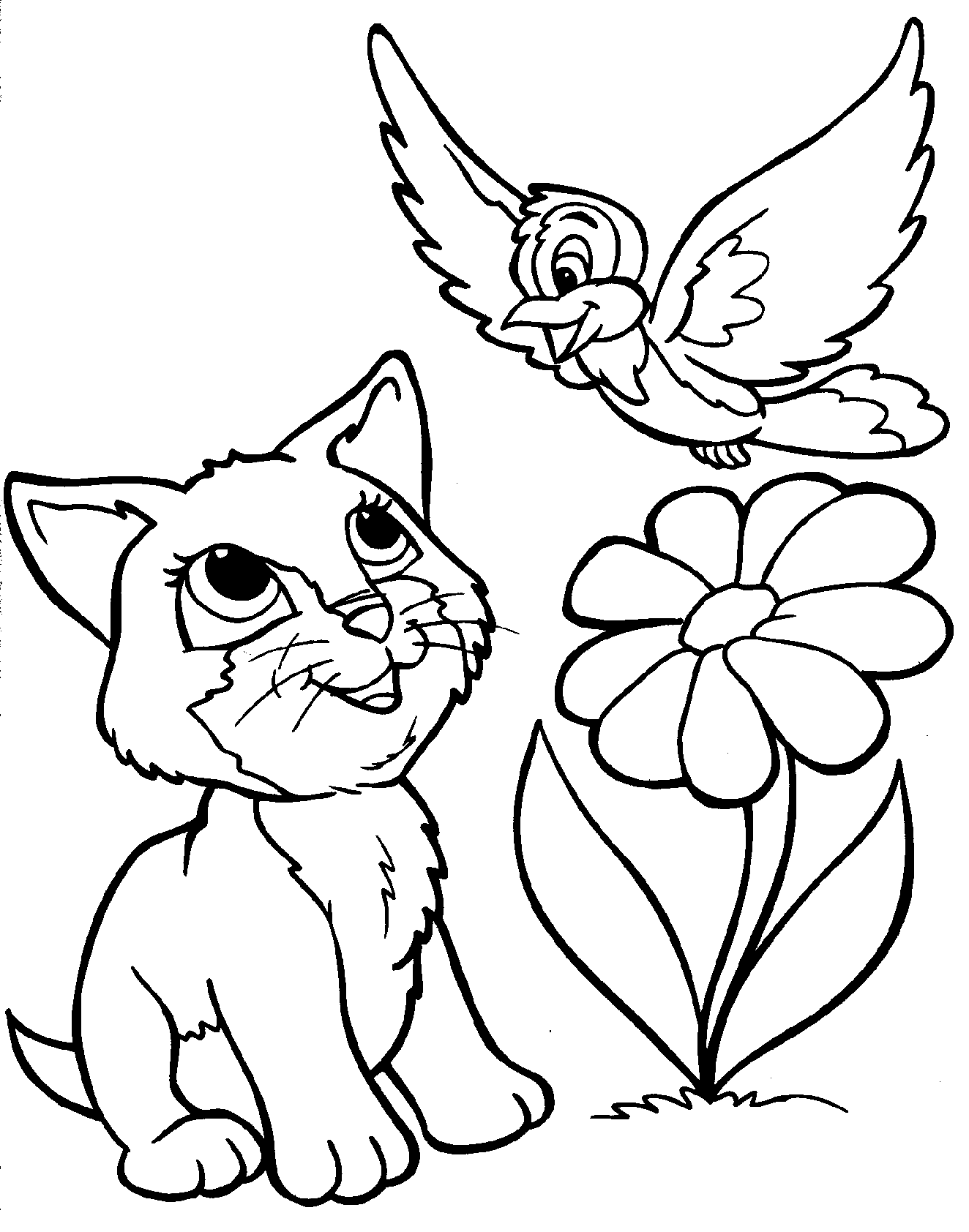 Dibujos de Gato y Pájaro