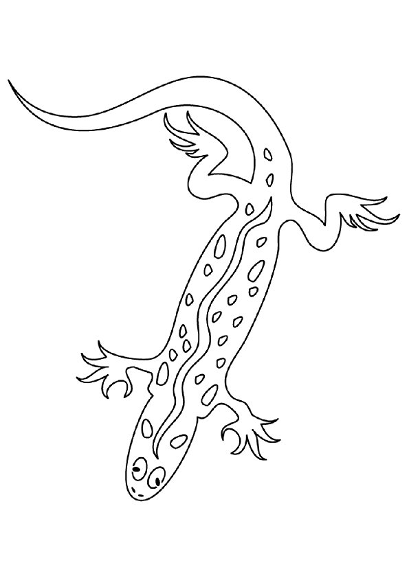 Click to see printable version of Geco Pegajoso Coloring page