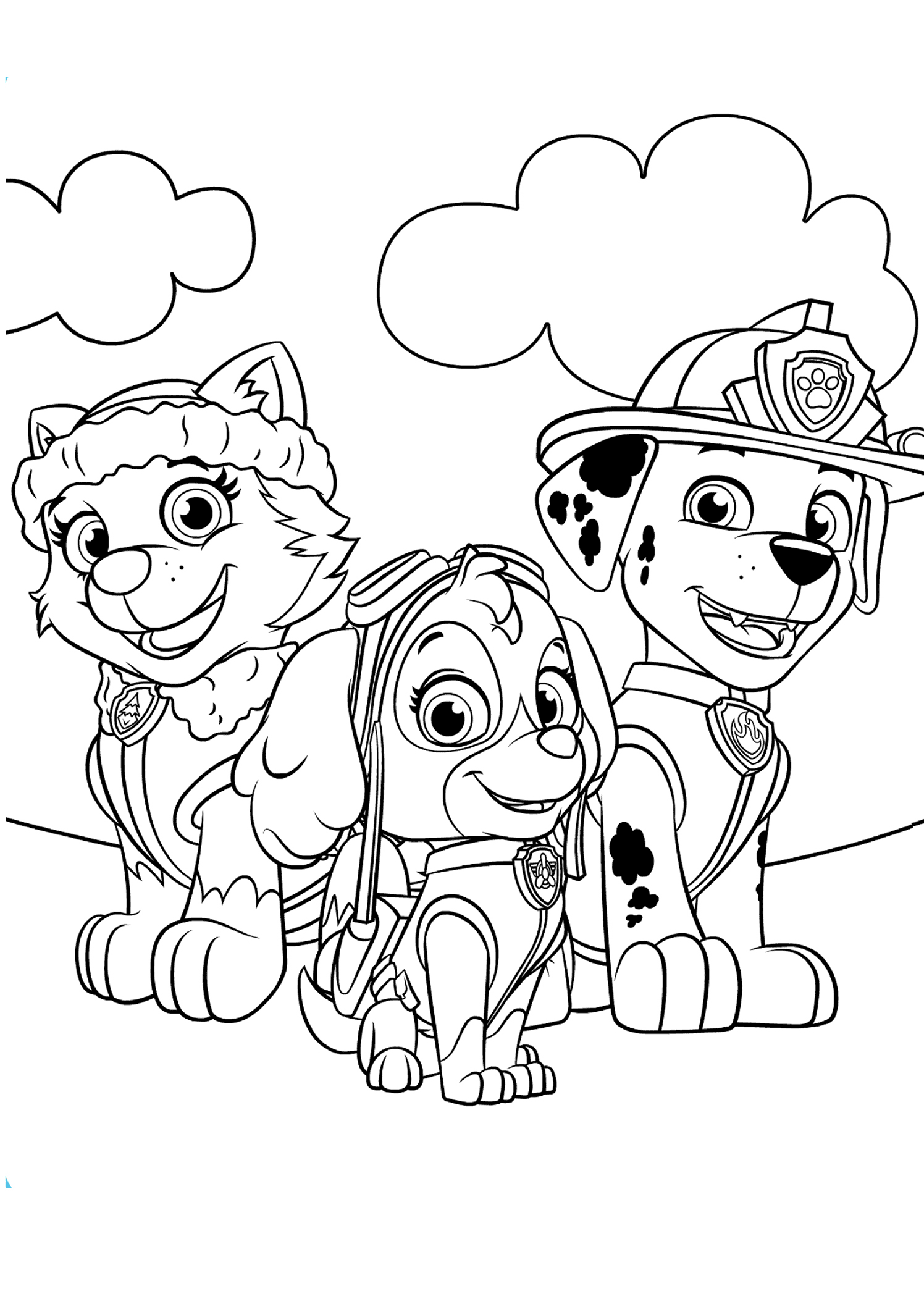 Click to see printable version of Everest, Marshall y Skye Coloring page