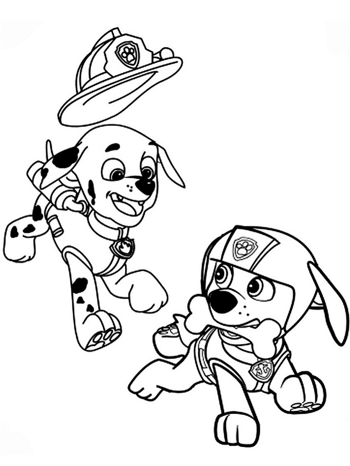 Click to see printable version of Marshall y Zuma Coloring page